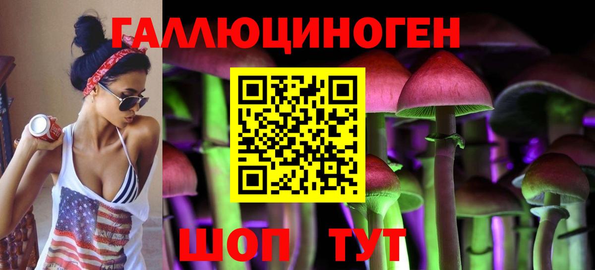 Людиново  Псилоцибиновые грибы Psilocybe  Вход с VPN  Псилоцибиновые грибы Psilocybe 